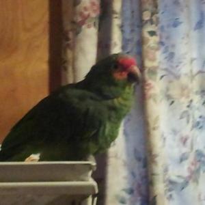 74703_10151338257560928_1439787148_n