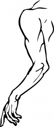 left_arm_clip_art_7176